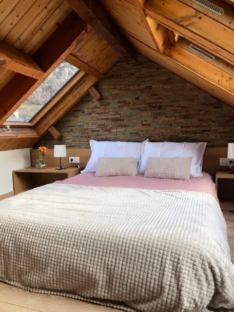 Apartamento Canfranc I — 2